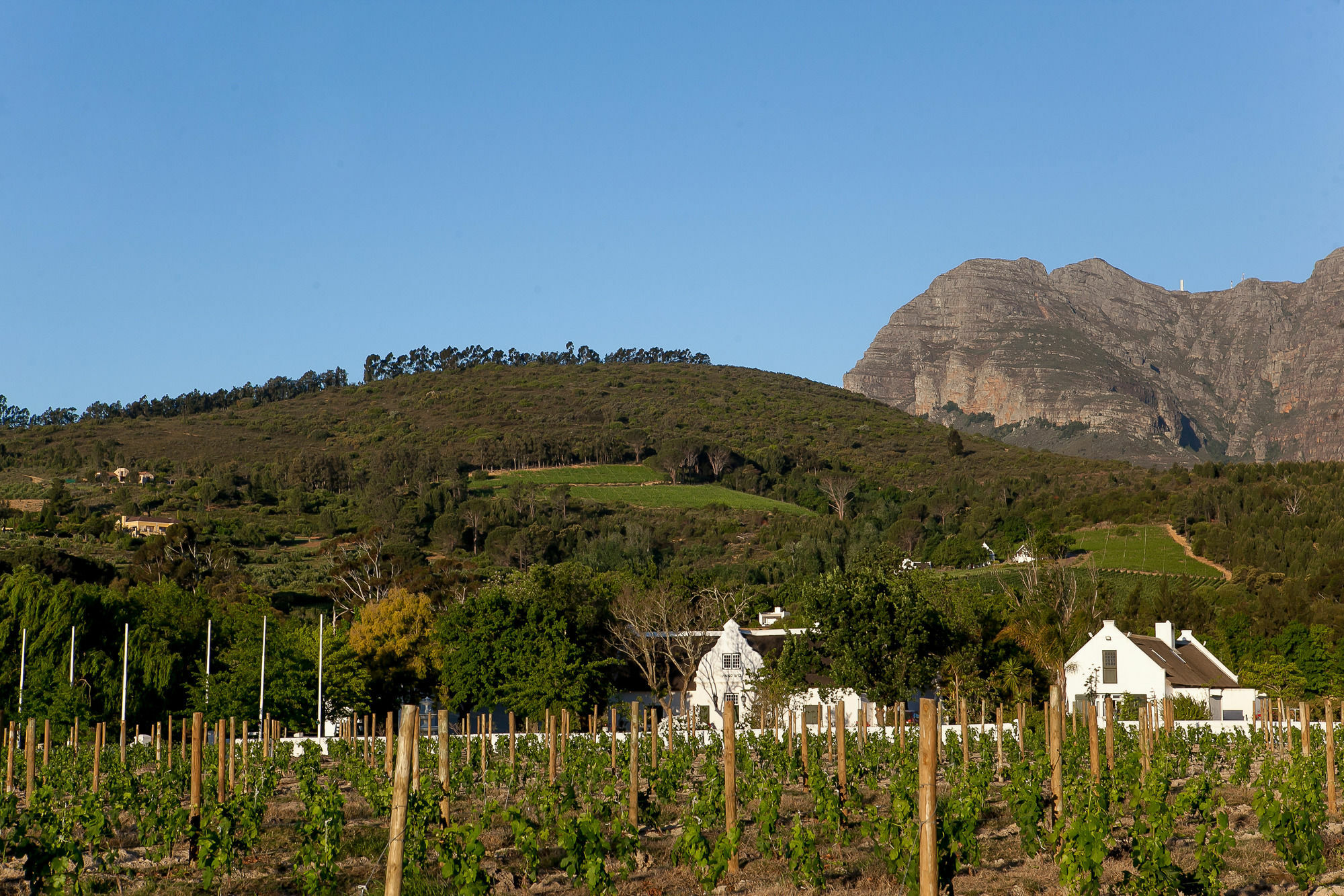 1692 De Kleijne Bos Country House Paarl Exterior photo
