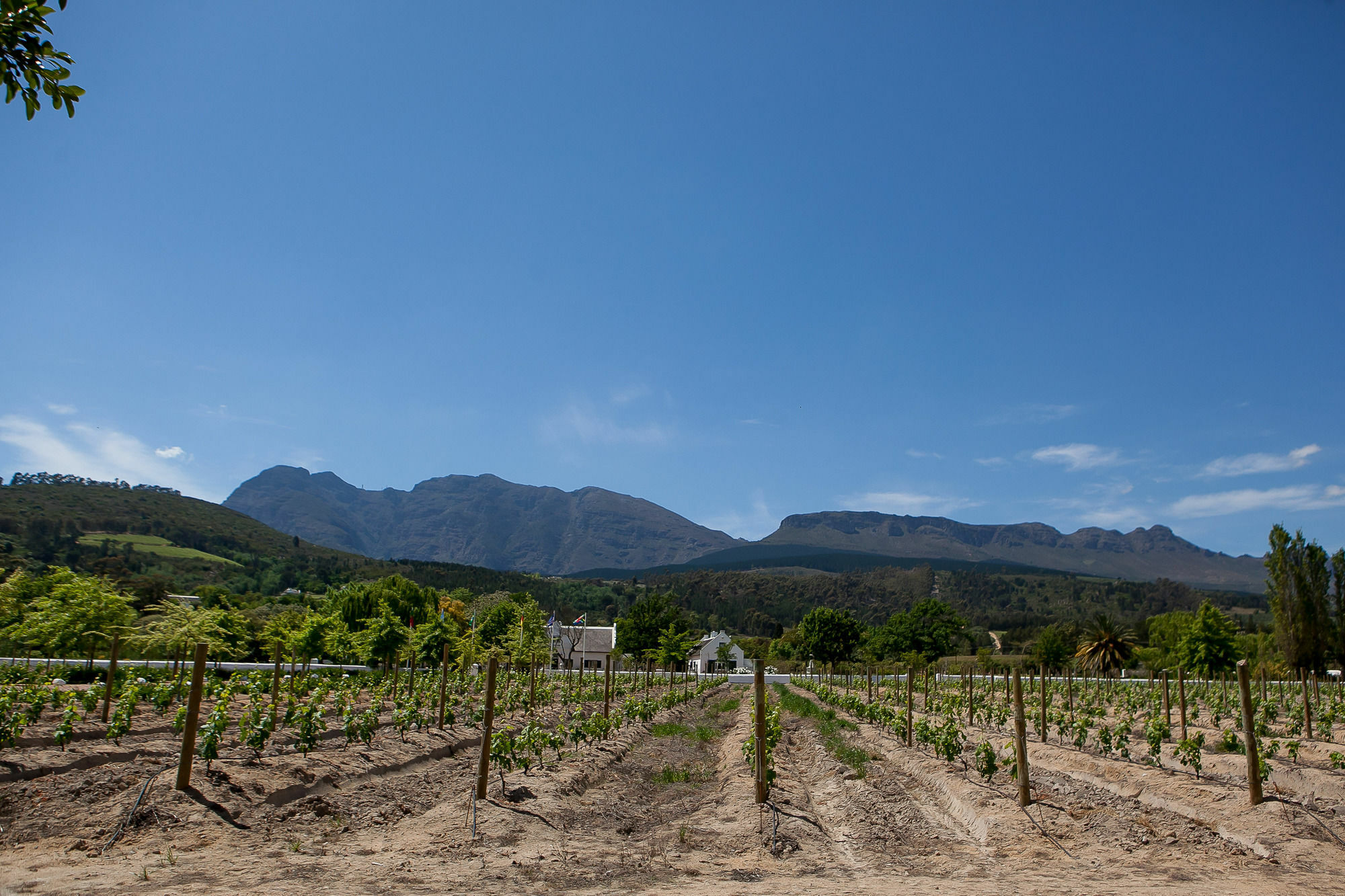 1692 De Kleijne Bos Country House Paarl Exterior photo