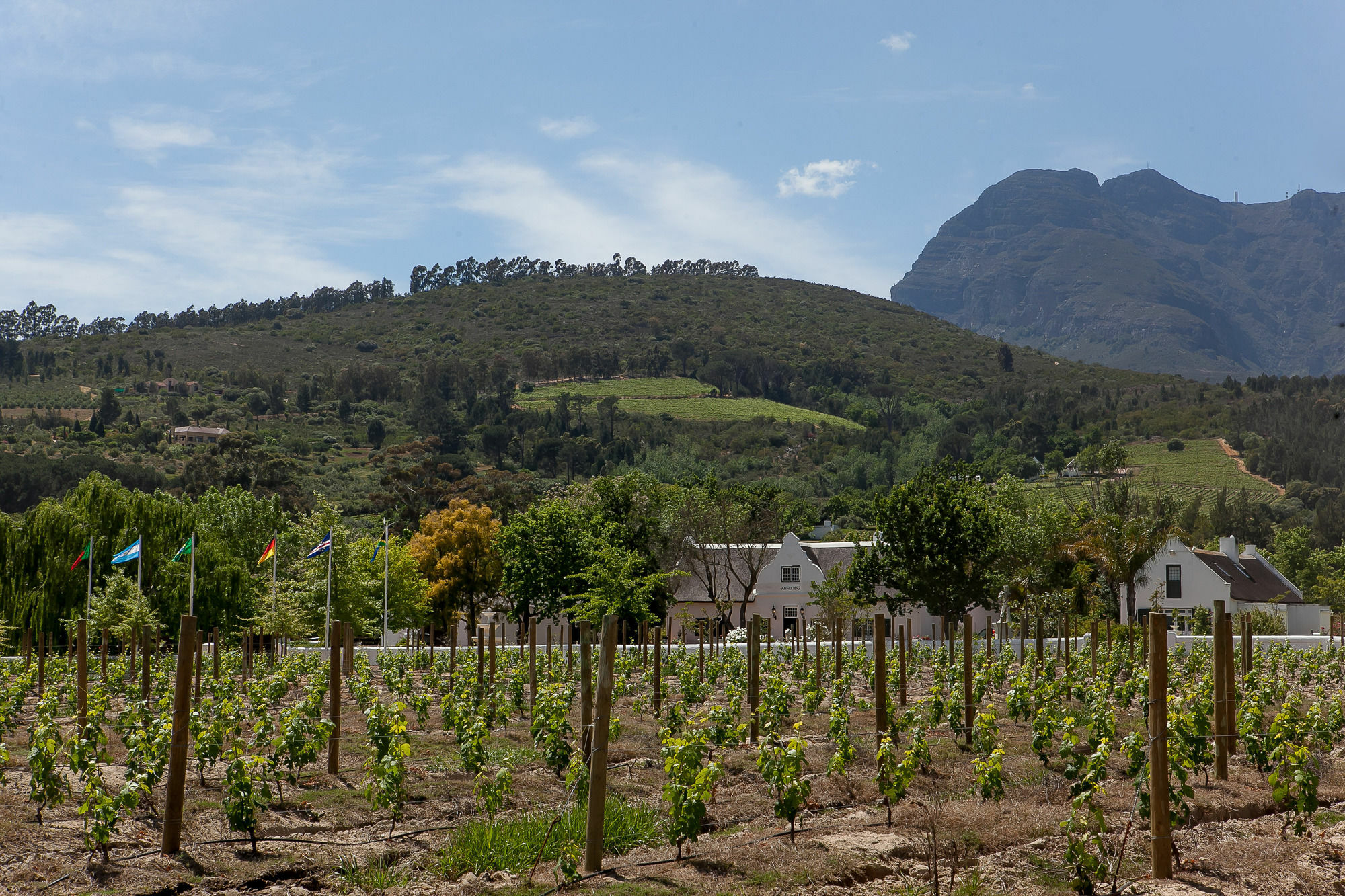 1692 De Kleijne Bos Country House Paarl Exterior photo